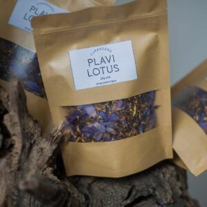 Blue lotus flower Egypt dried Nymphaea caerulea